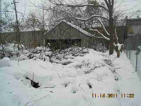 7485 American (6)_m.jpg